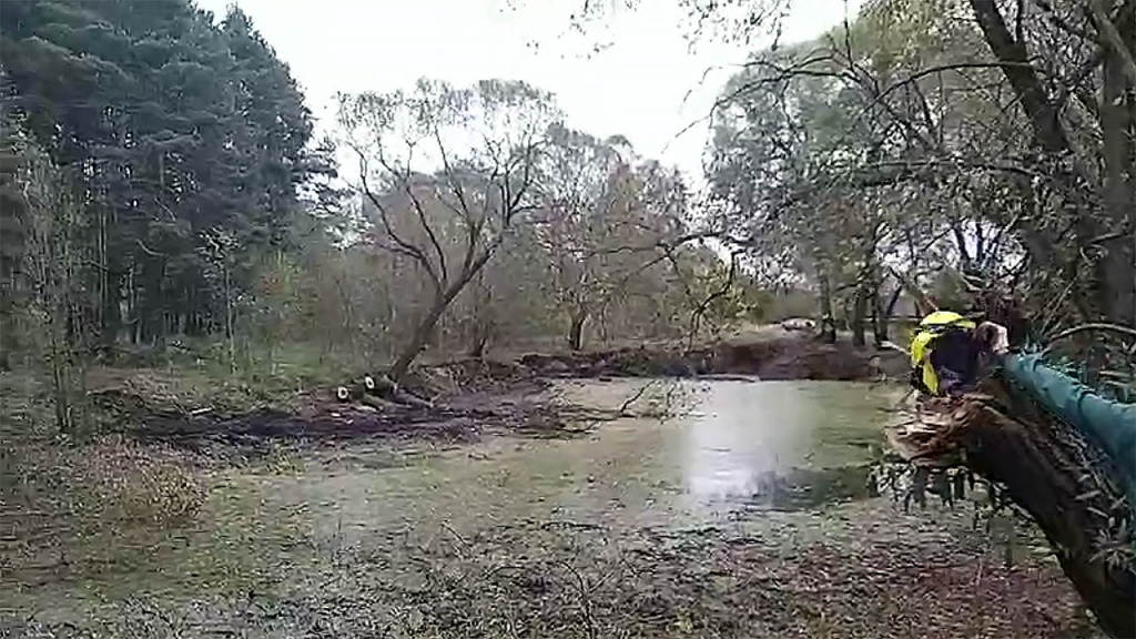 Пожарный пруд, Барыбино Московской области