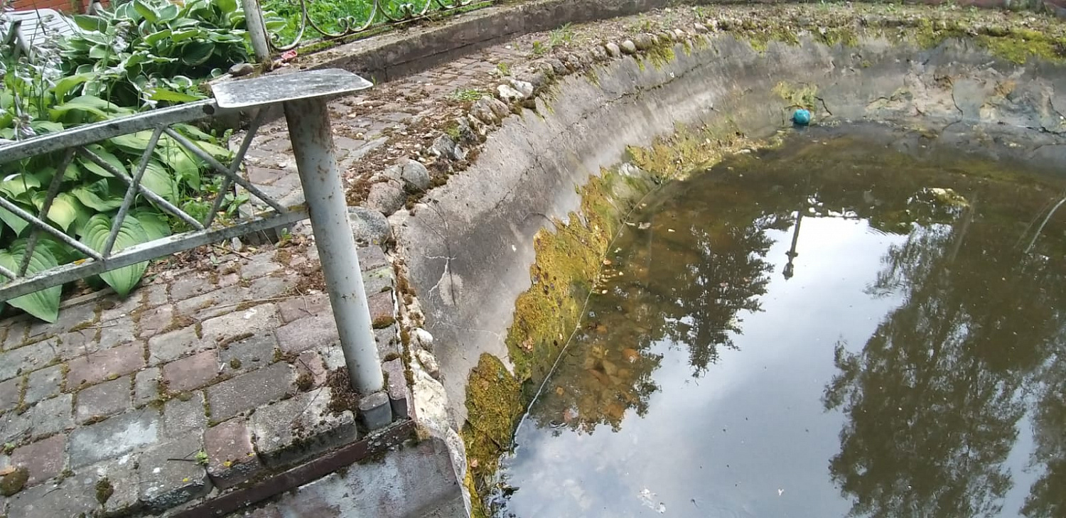 Очистка пруда и водоема от нитчатых водорослей.